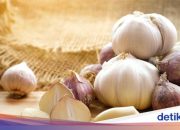 Manfaat dan Khasiat Bawang Merah serta Bawang Putih untuk Kesehatan