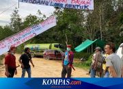 Konflik Lahan Sawit vs Masyarakat Adat Dayak: Di Mana Hukum Berpihak?