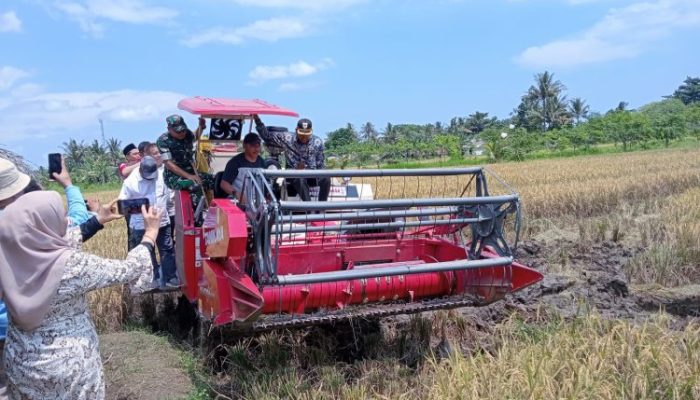 Ketahanan Pangan Nasional Jadi Fokus Strategis Pemerintah Tahun 2026